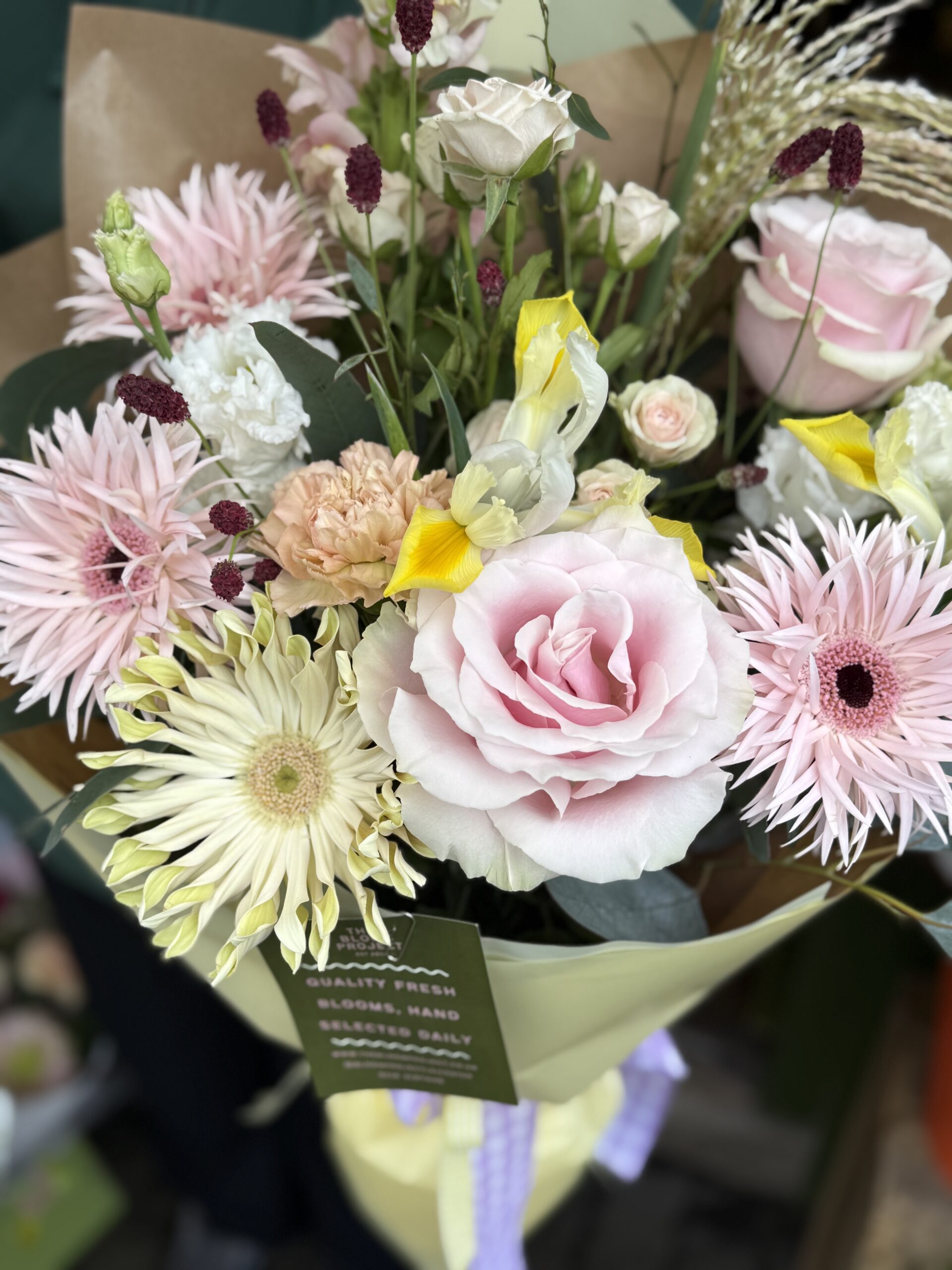 The diamond of the season - Image 2